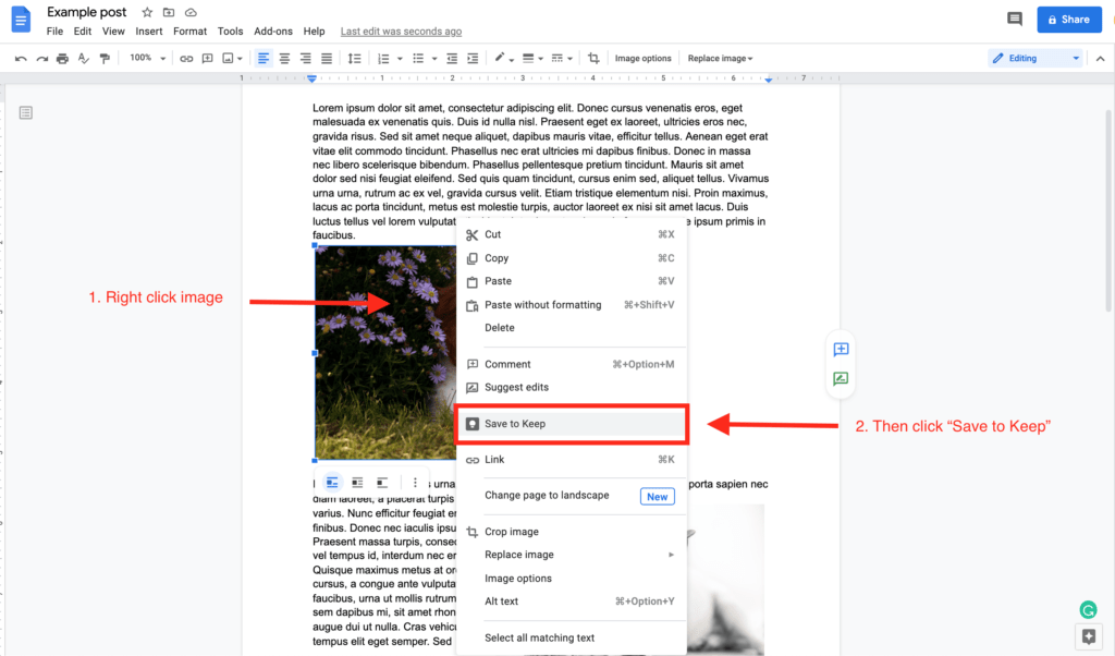 right click image in gdocs
