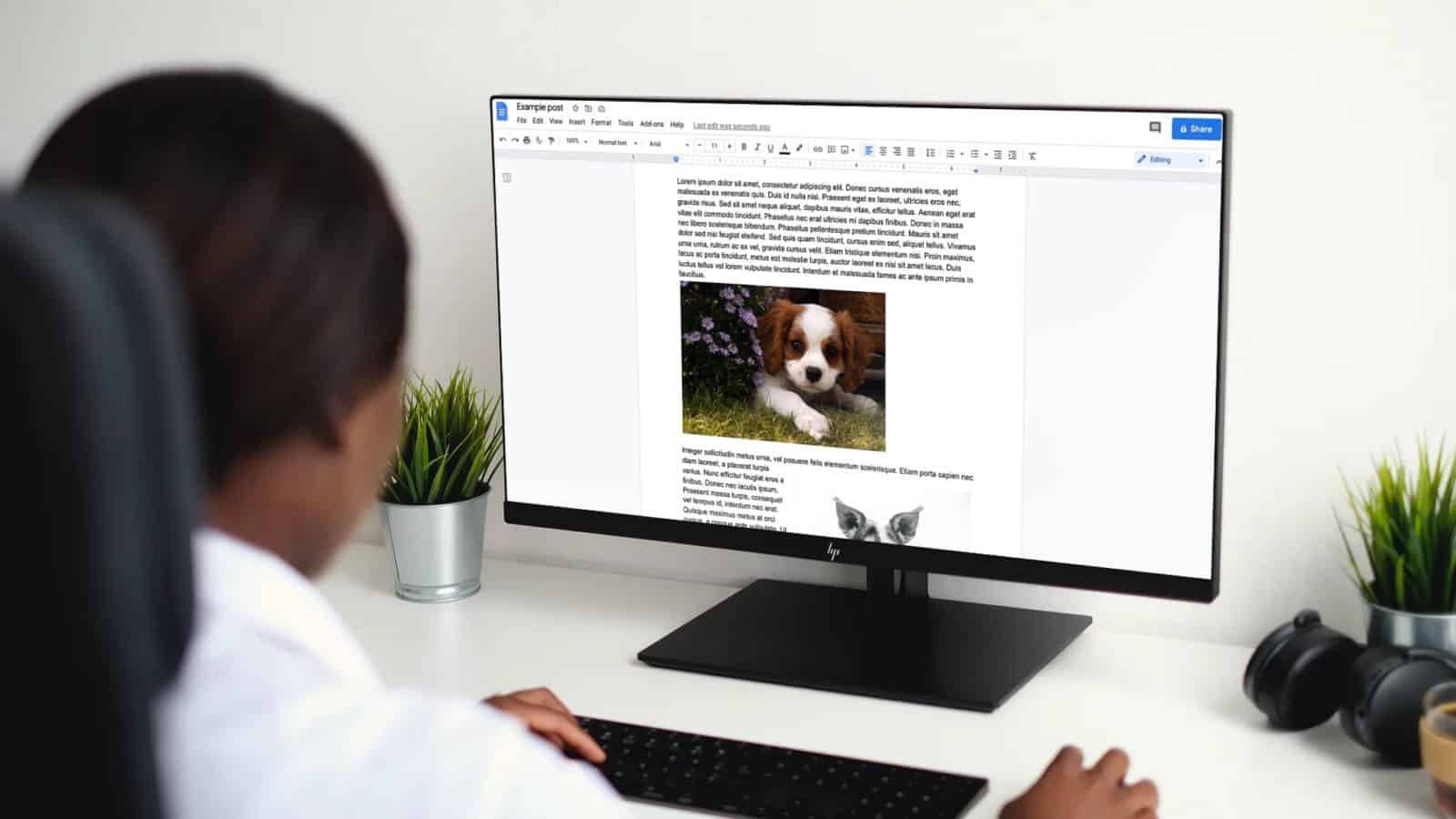 google docs with dog images